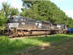 NS 2659 leads I5Q past pine trees 